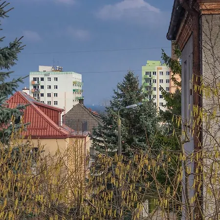 Top Apartment